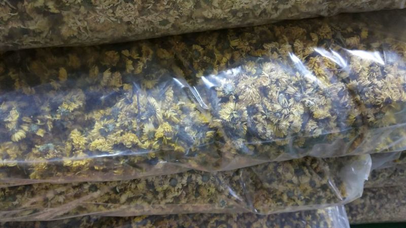 药用菊花散装