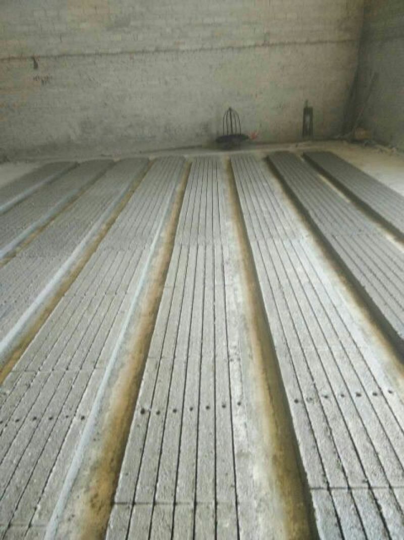 火龙果苗水泥柱