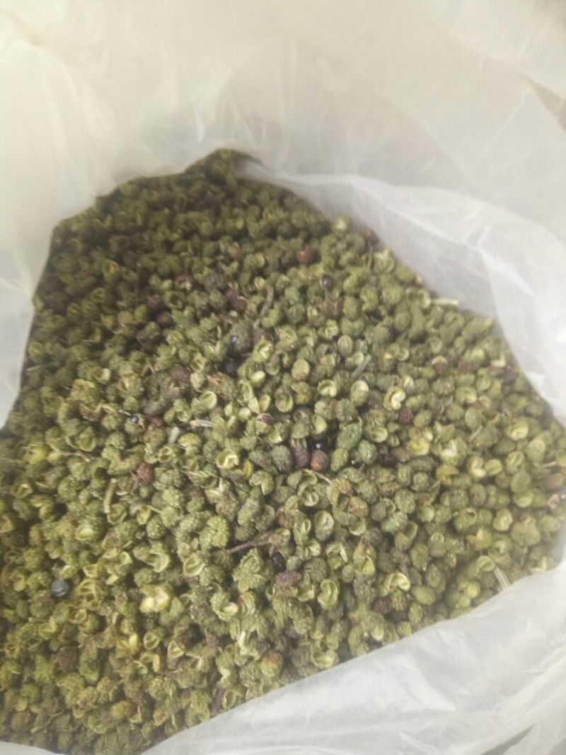 九叶青花椒一级干