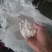 木薯粉袋装