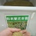 进口耐寒牧草种子多年生黑麦草种子四季常青鸡鸭鹅猪牛羊鱼草