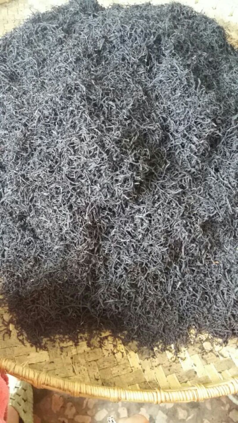 古树茶三级