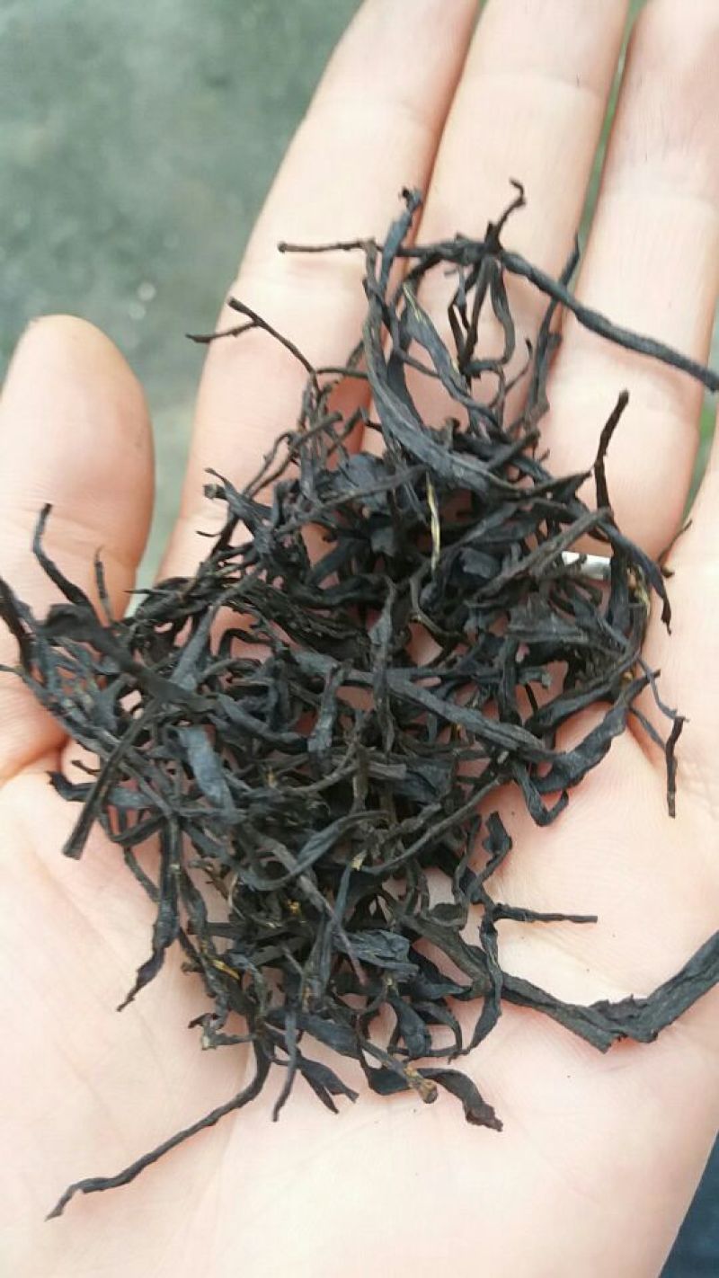 古树茶三级