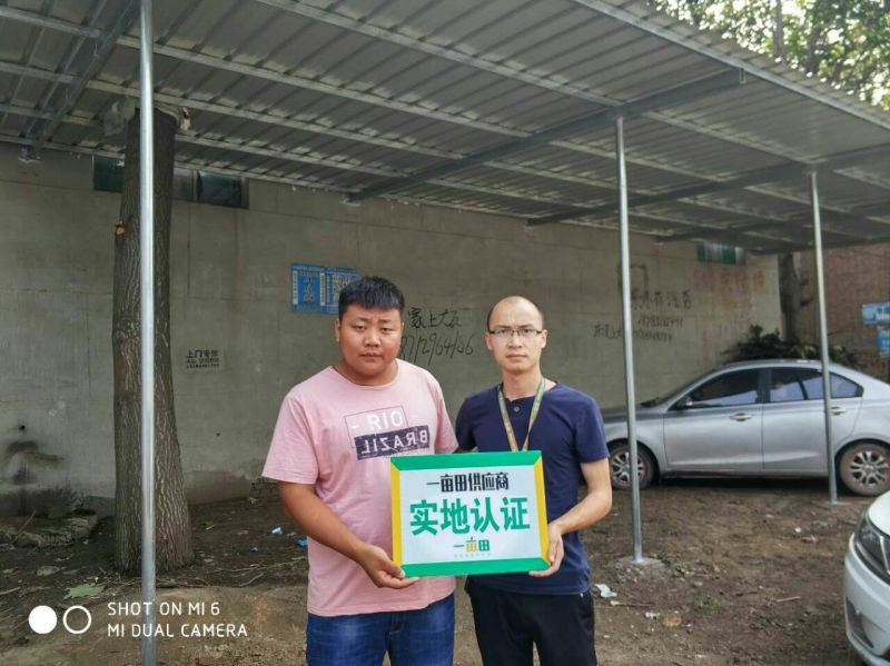 五九香梨，罐头梨，2023新梨，，，，，梨，，，，，