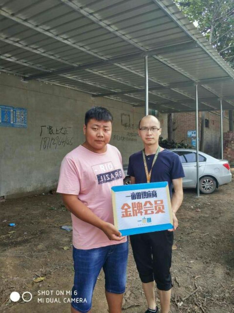 五九香梨，罐头梨，2023新梨，，，，，梨，，，，，