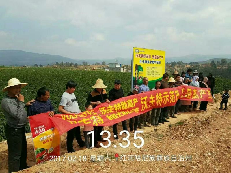 三元复合肥