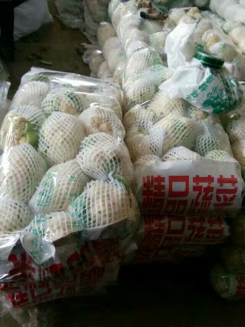 菜花紧密乳白1.5斤-2斤