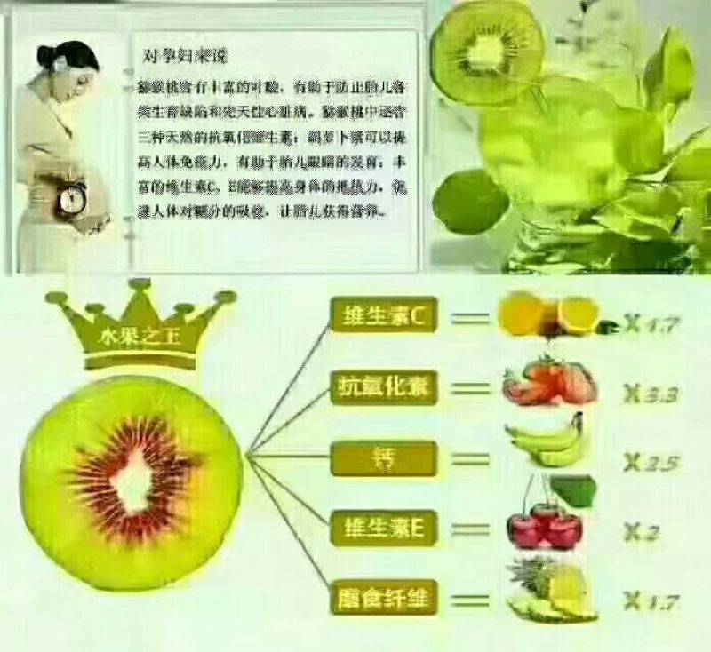 徐香猕猴桃