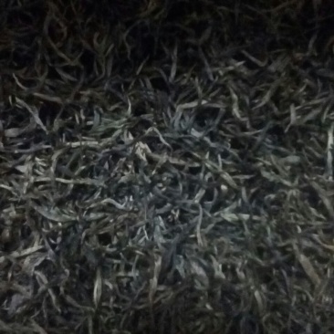 普洱茶一级