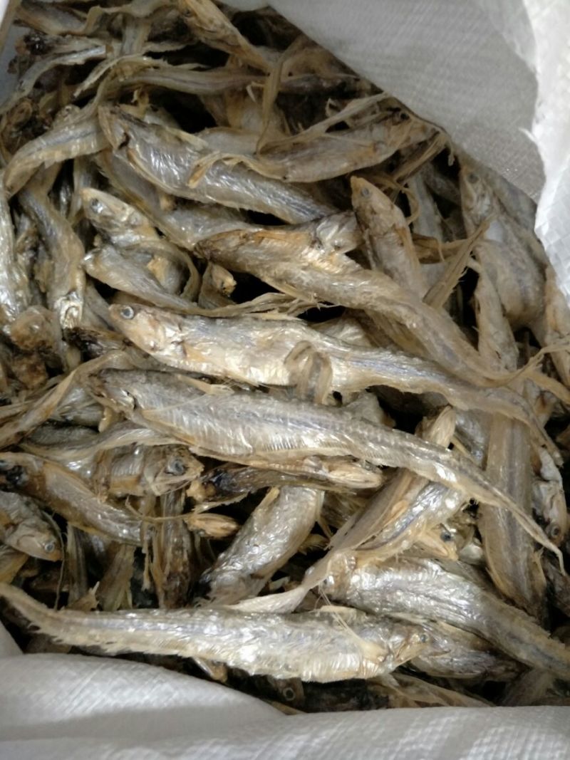 毛刀鱼鱼干