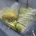 扁尖笋丝小笋规格定制无老根无损耗产地厂家直销没中间商差价