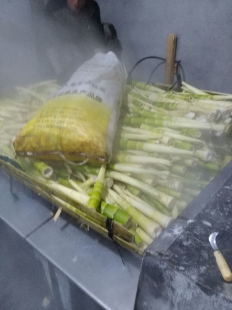 扁尖笋丝小笋规格定制无老根无损耗产地厂家直销没中间商差价