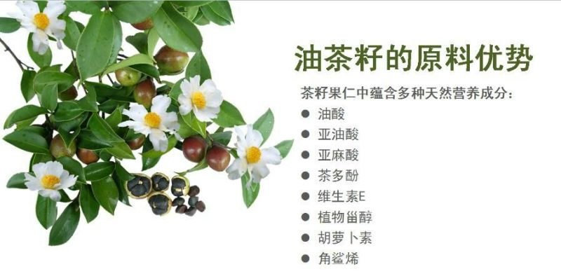 茶树油