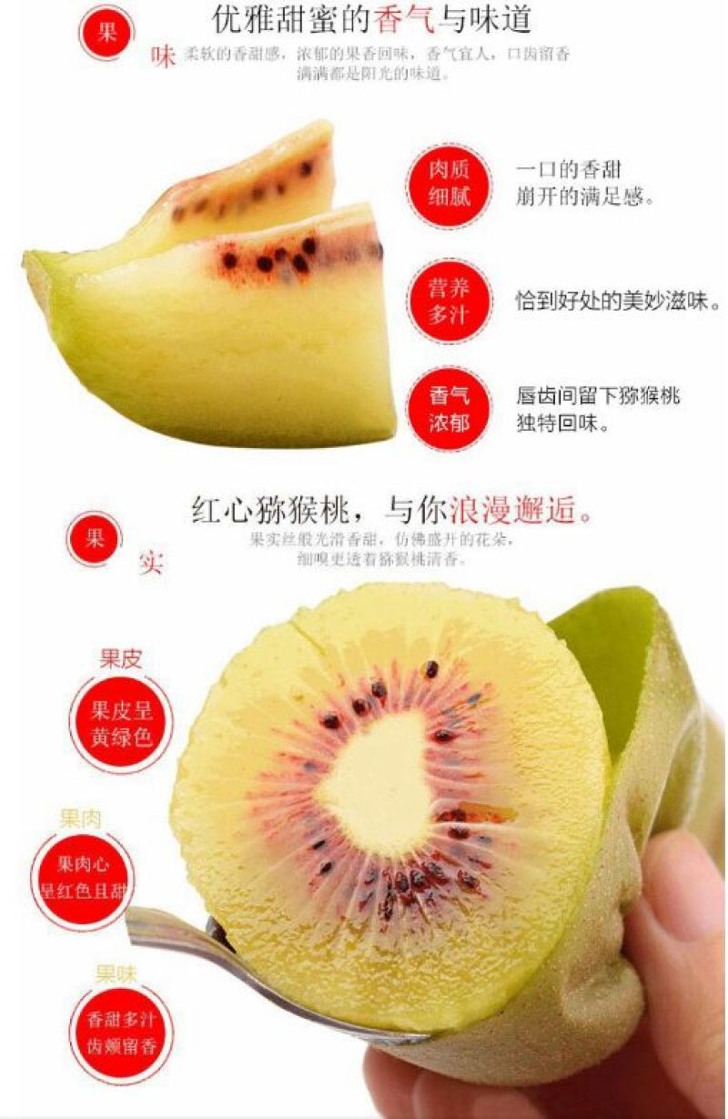 苍溪发源地红心猕猴桃2.5斤试吃装现采现发品质保证
