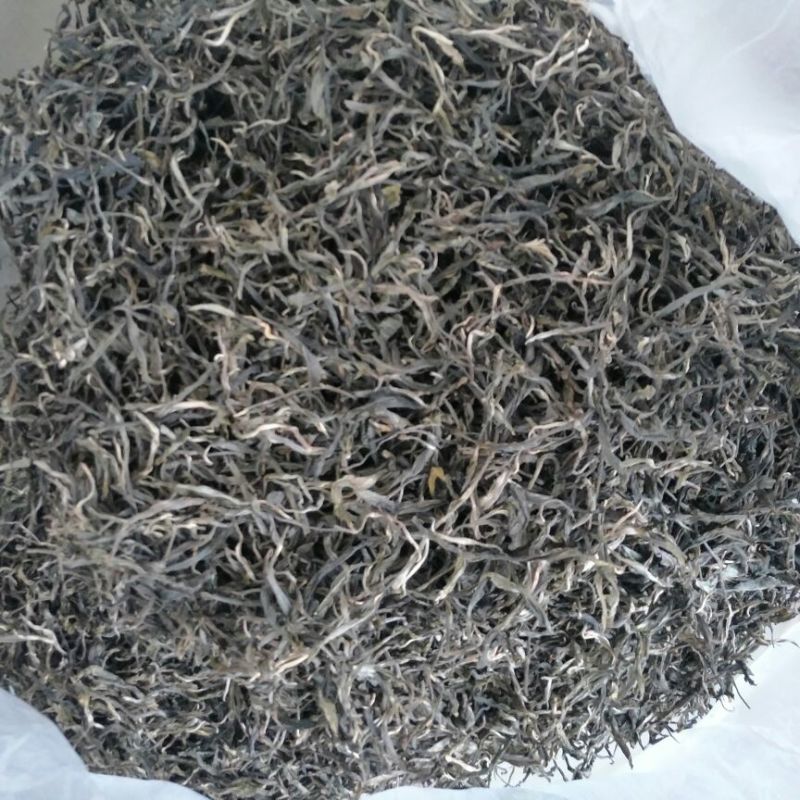 普洱茶特级