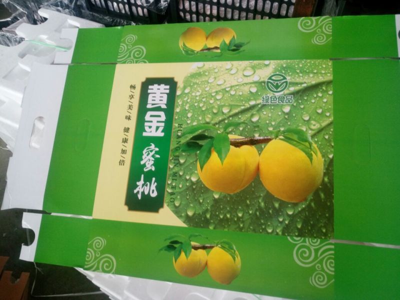 黄锦秀黄毛桃半斤以上，大量上市对接商超市场，电商品质保