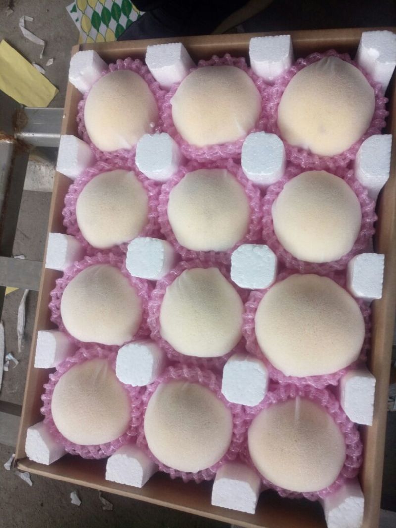 黄锦秀黄毛桃半斤以上，大量上市对接商超市场，电商品质保