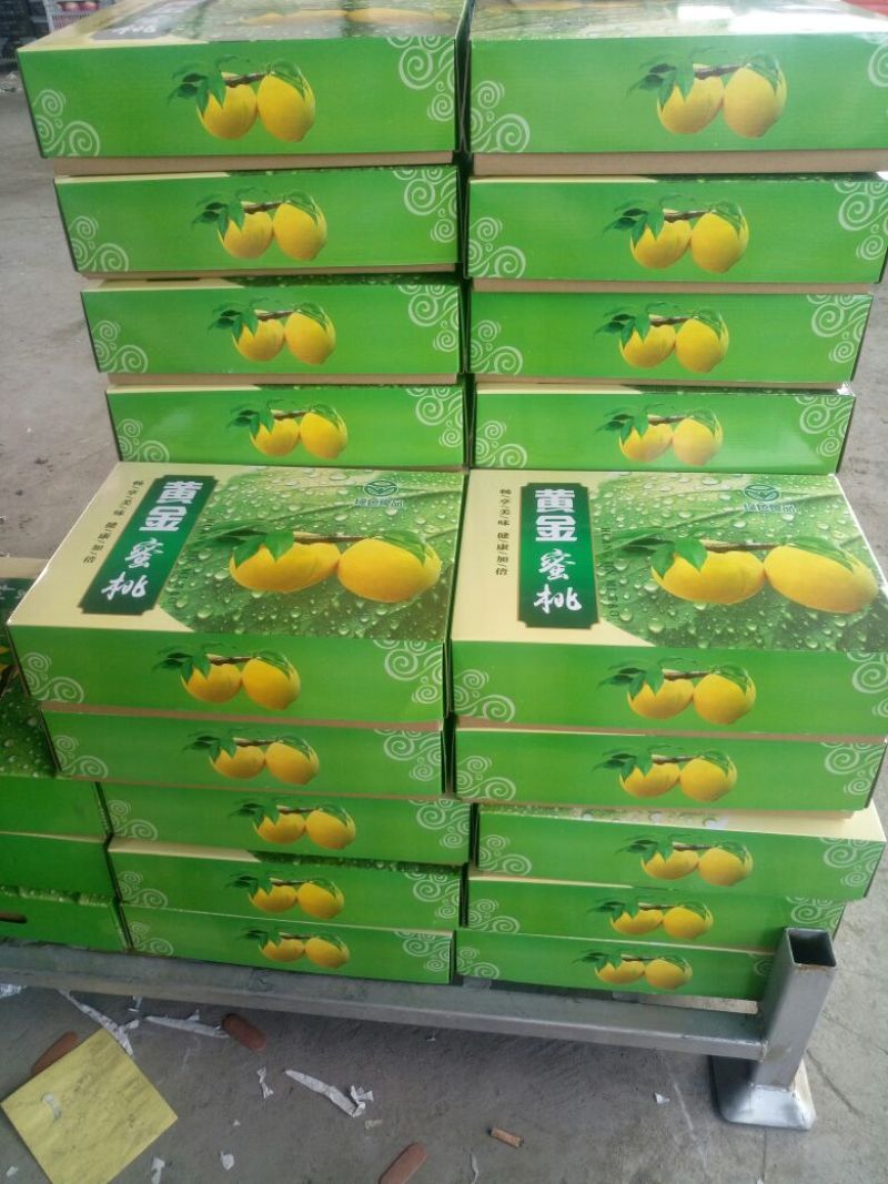 黄锦秀黄毛桃半斤以上，大量上市对接商超市场，电商品质保