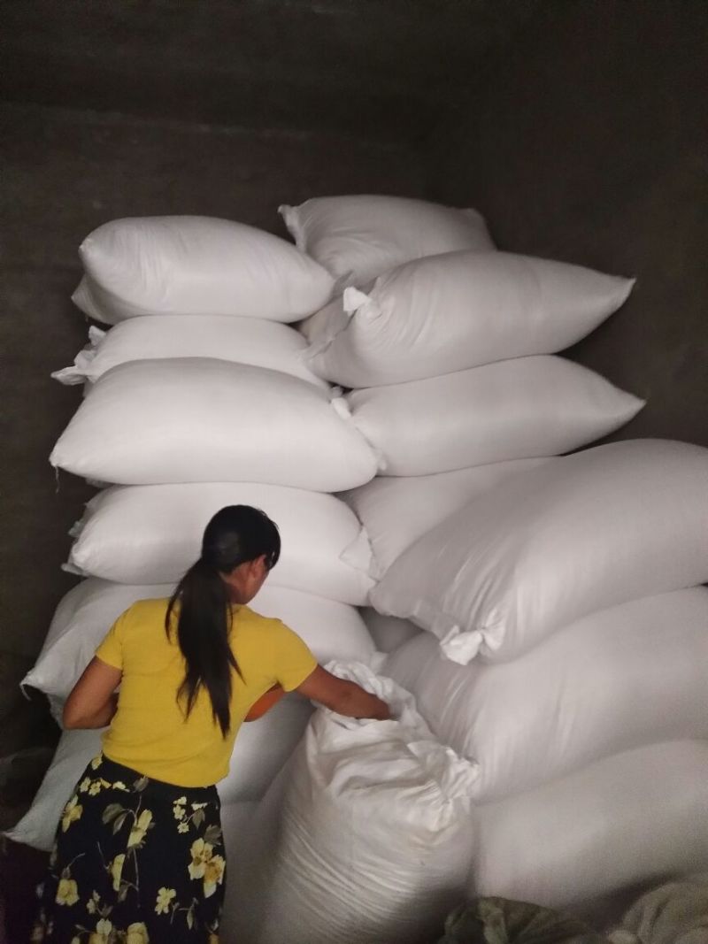 冬瓜子