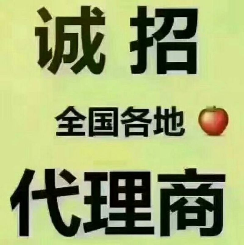 苍溪发源地红心猕猴桃2.5斤试吃装现采现发品质保证