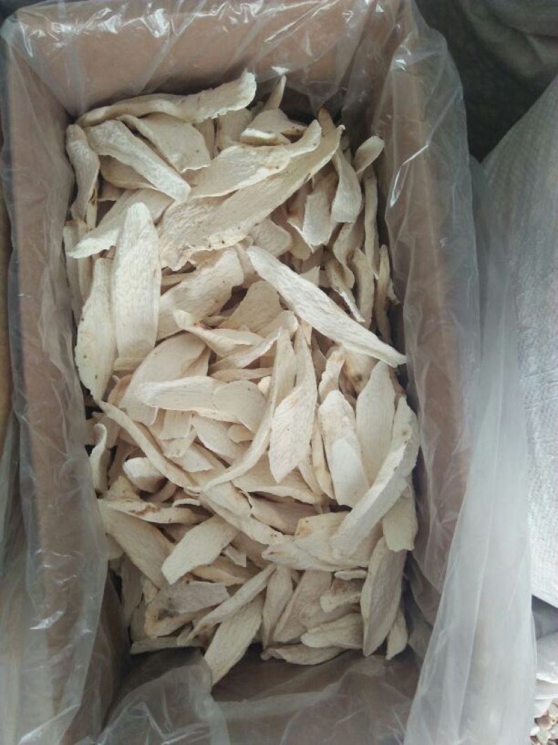 药用山药