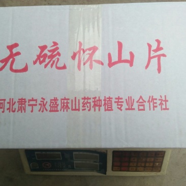 药用山药