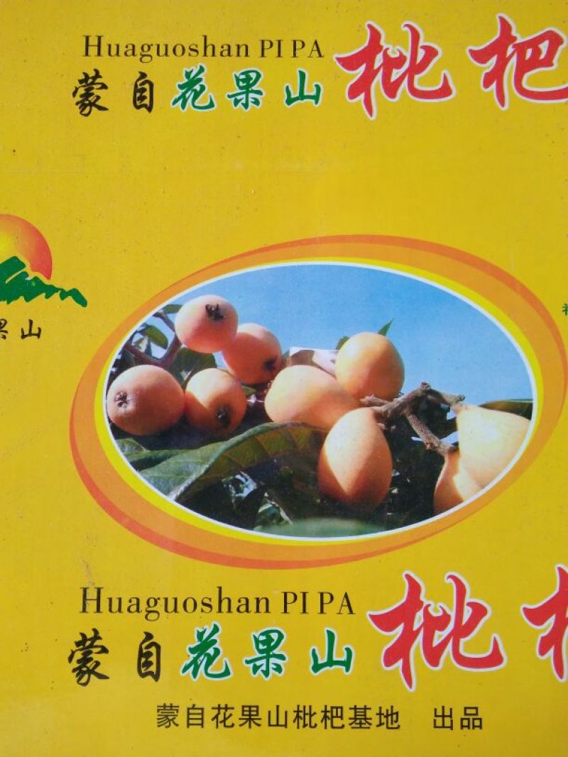 长虹枇杷0.6两以上