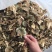 青头菌0.01%1%特级5~8cm