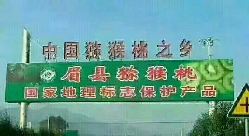 徐香猕猴桃80~100克