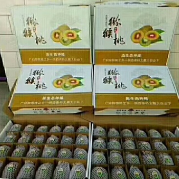 徐香猕猴桃80~100克