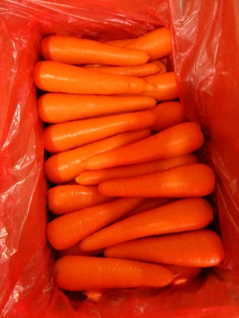 三红胡萝卜现挖现发产地直供泥萝卜水洗萝卜加工厂电商