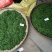 茶树油