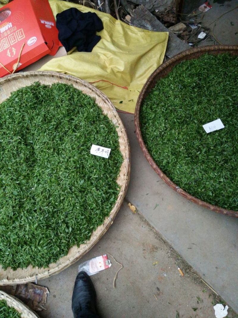 茶树油