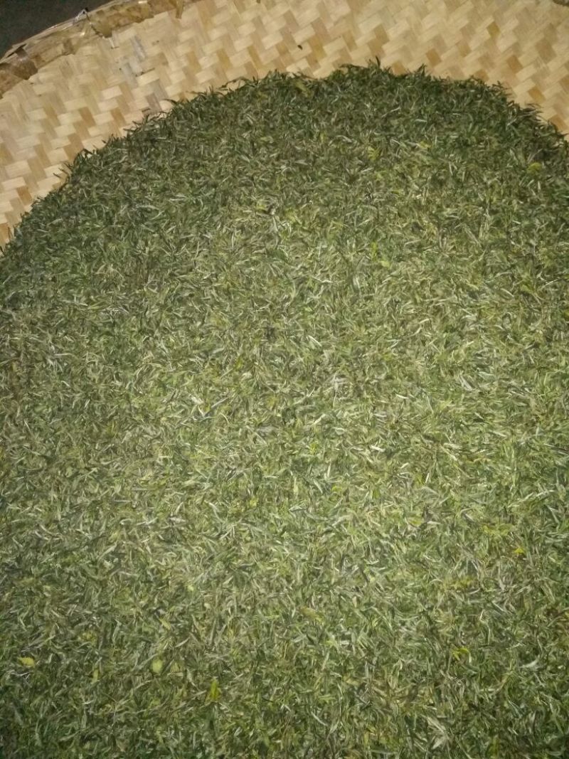茶树油