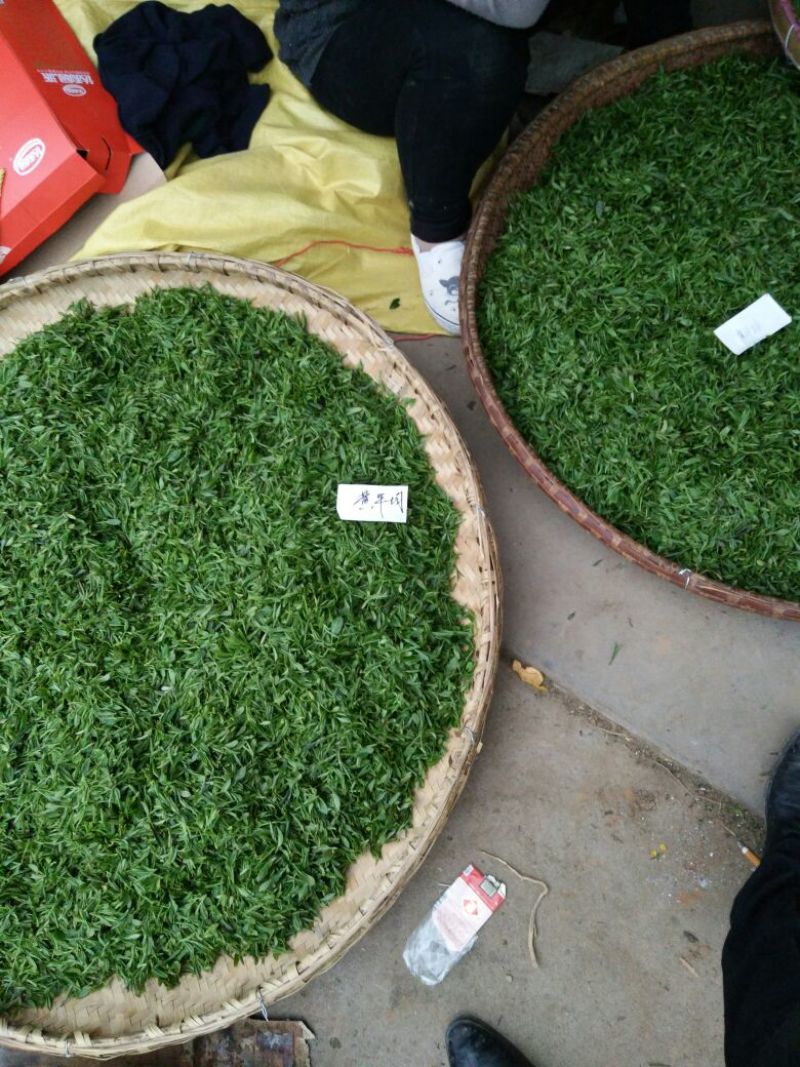 茶树油
