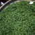 茶树油