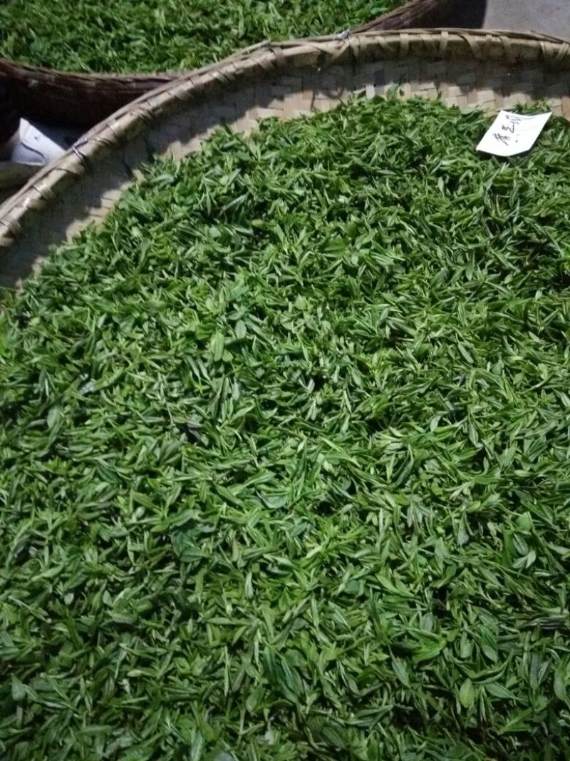 茶树油