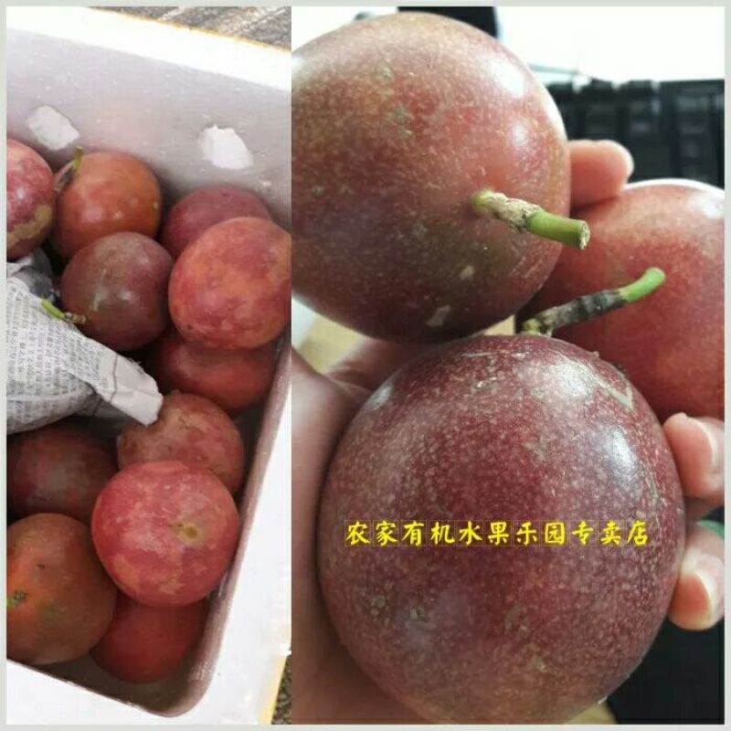 百香果代发招代理