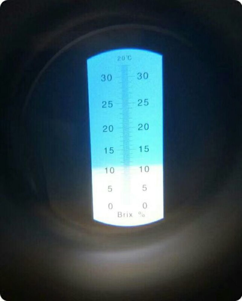 黄心猕猴桃90~100克