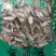 宽筋藤广西干货人工种植2斤起包邮量大从优