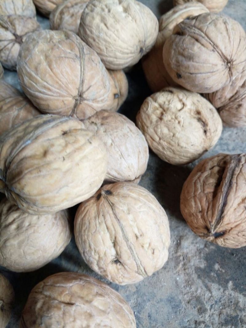 清香核桃去皮干