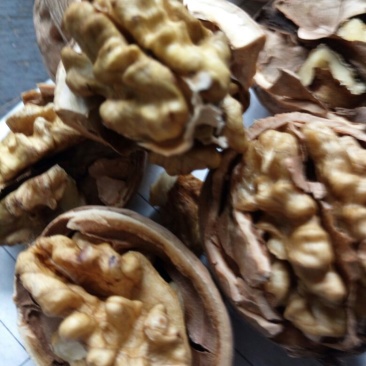 清香核桃去皮干