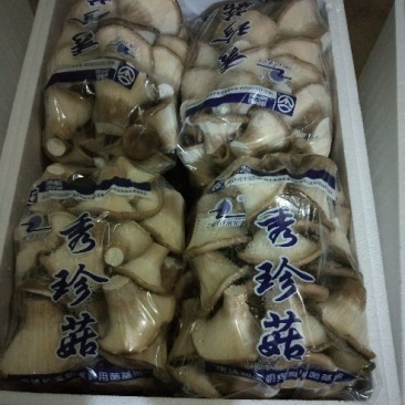 猪肚菇特级