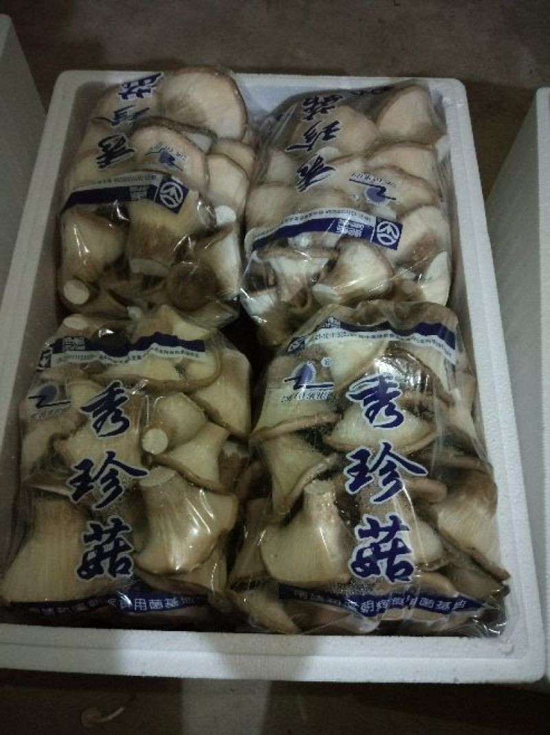 猪肚菇特级