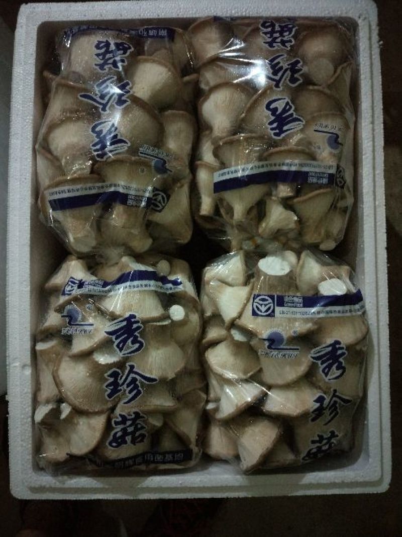 猪肚菇特级