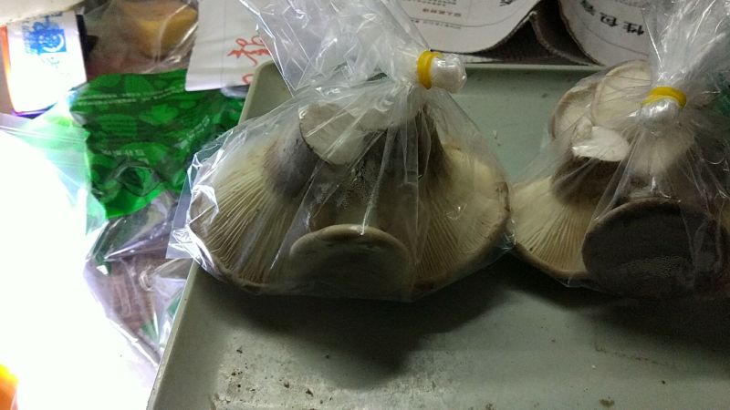 猪肚菇特级