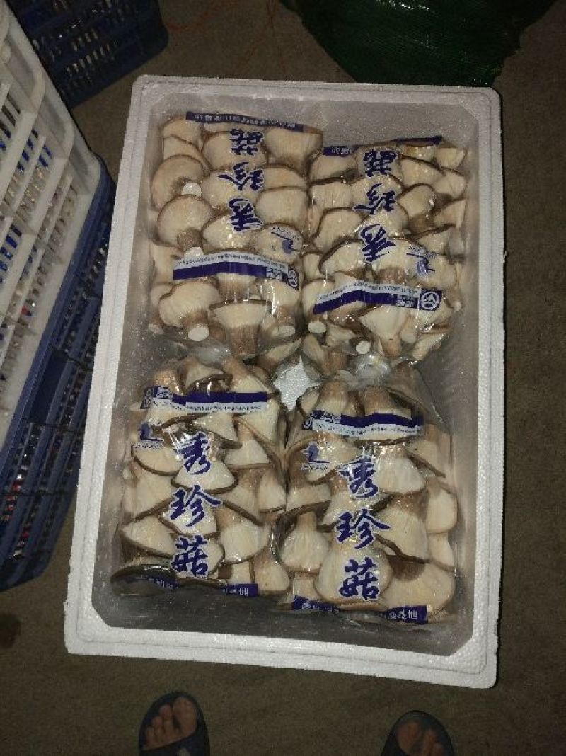 猪肚菇特级