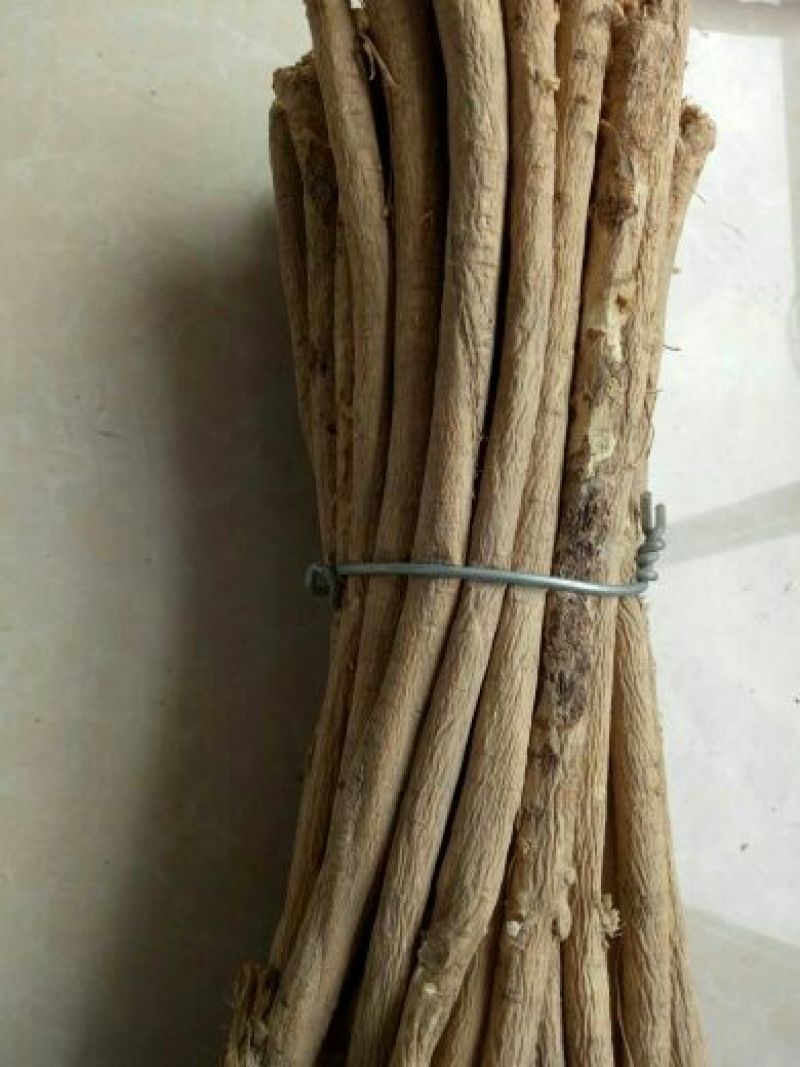 黄芪大条统货原装条子大中小分级