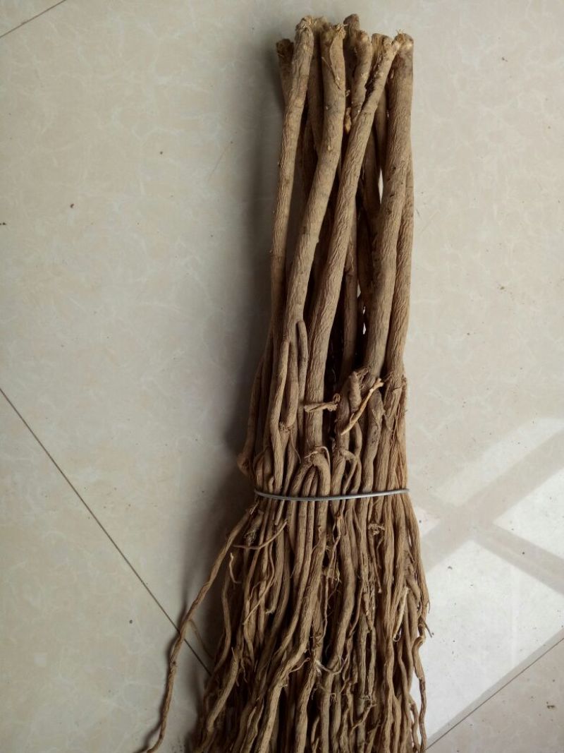 黄芪大条统货原装条子大中小分级