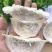 燕窝燕窝全干挑半干挑三角燕碎全系